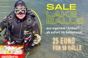 Lakes Balls Werbung GC Teck